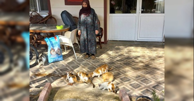 Evinin bahçesinde 30 kediye bakan Zahide nineye İl Özel İdare ekiplerinden mama desteği