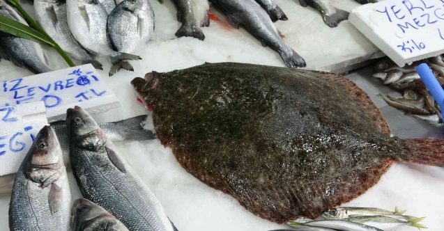5 kiloluk kalkan balığı 3 bin liraya satıldı
