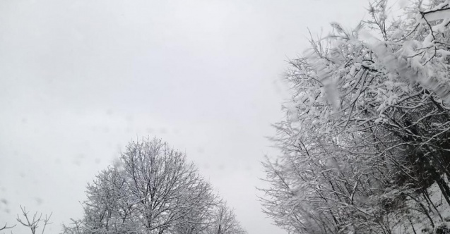 Çaybaşı yolu kara teslim