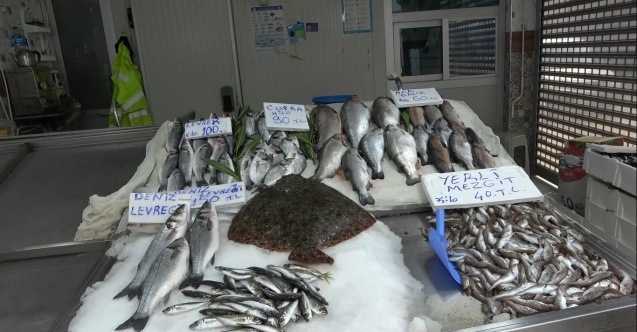 Karadeniz’de balık azlığı, tezgâhlara yansıdı