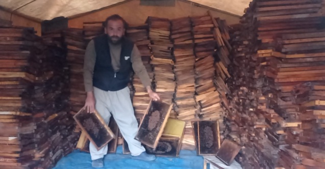 Adana’da 500 kovandaki binlerce arı telef oldu