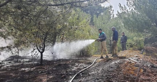 Banaz’da orman yangını