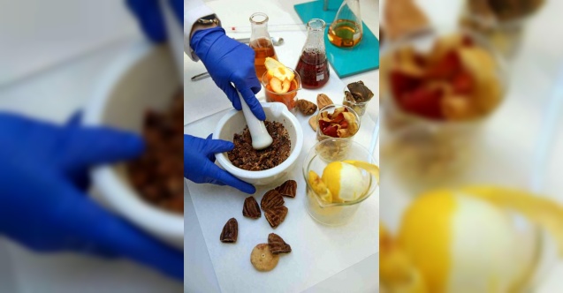 Atıklardan sağlıklı atıştırmalık üretti