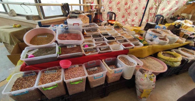 Ata tohumları satarak geçimini sağlıyor