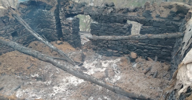 Kulp’ta ahır yangını: 76 hayvan telef oldu