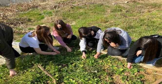 Öğrenciler ‘e-Twinning’ projesi ile endemik bitkileri tanıyarak yetiştiriyorlar
