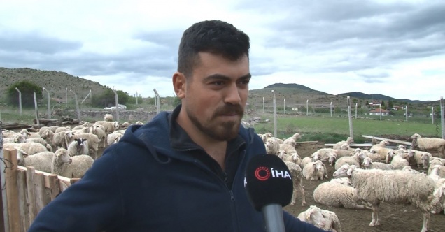 Yaklaşan Kurban Bayramı öncesi kurbanlık fiyatları konuşulmaya başladı