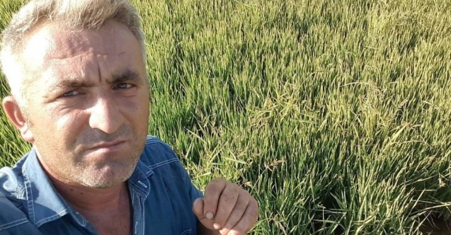 Kestiği ağacın altında can verdi