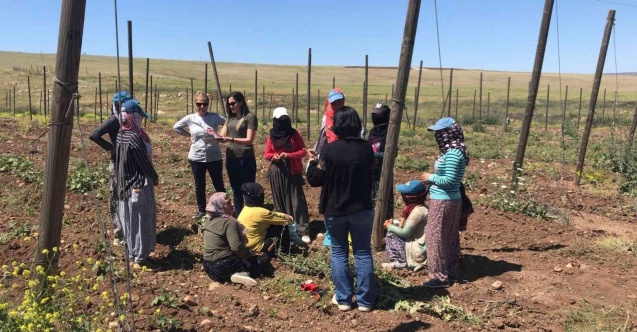 Siirt’te kadınlara kooperatifçilik eğitimi