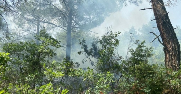 Ormanlık alana düşen yıldırım yangına neden oldu