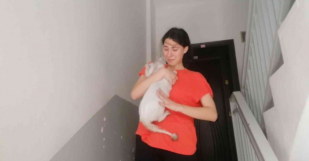 Lise öğrencisi, kedisi Duman’a kavuşunca sevinçten ağladı