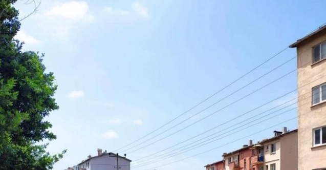 Sinop’ta fırtına ağaç yıktı