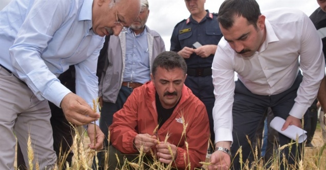 Validen doğal afetlere karşı çiftçilere uyarı: "TARSİM sigortasını yaptırın"